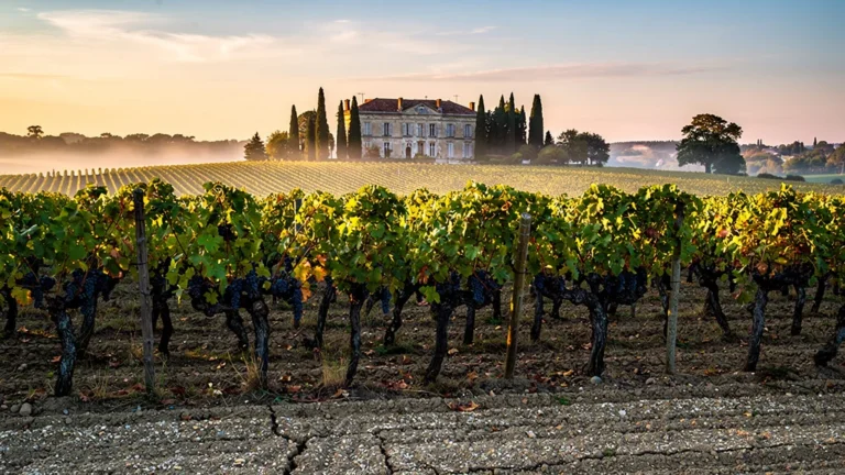 Vignoble Moulis Médoc au coucher du soleil avec château et rangées de vignes en 8K hyper-réaliste