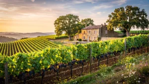Vue hyperréaliste des vignobles Mourat avec collines verdoyantes et ferme en pierre au coucher de soleil